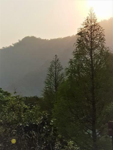 Aroundthetree Hermitage