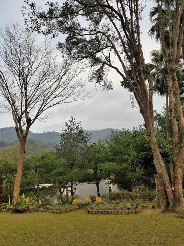 Aroundthetree Hermitage