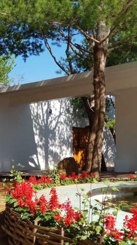 Aroundthetree Hermitage
