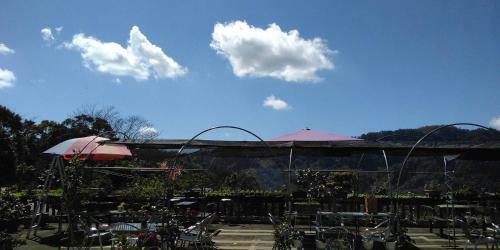 Yun Ting Orchid Garden