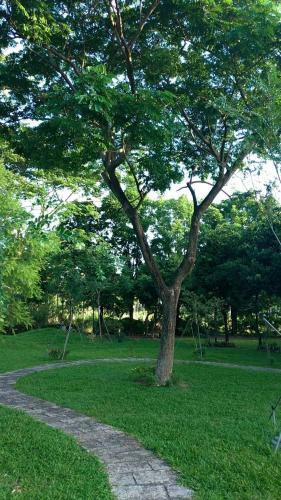 Amrita Green Retreat