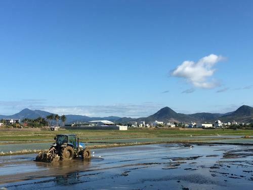Villa Cool Summer Family