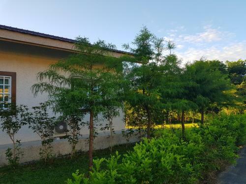 Forest Life B&B