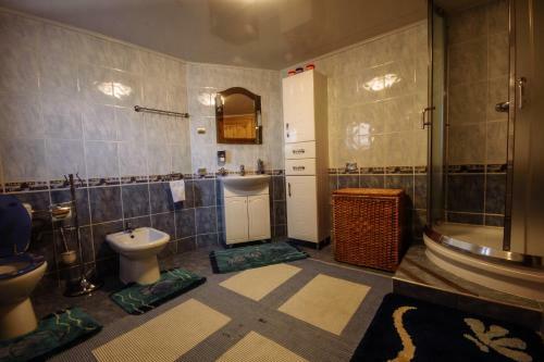 Posada Korona Karpat