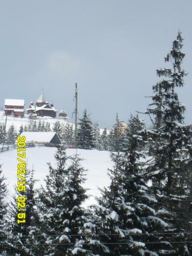 Lisovychok