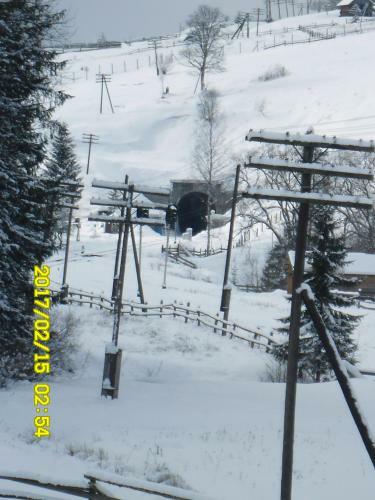 Lisovychok
