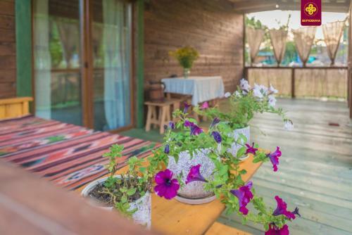 Apartment Pans'ka Pich