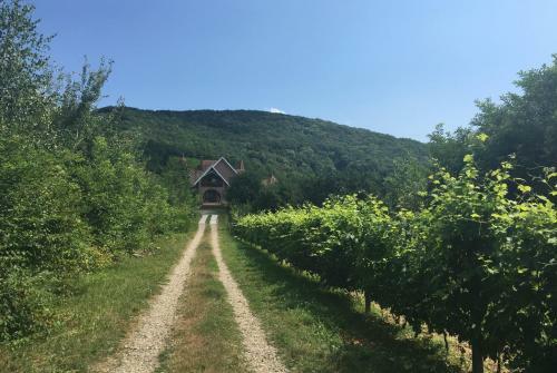 Hostal Polychka Winehouse