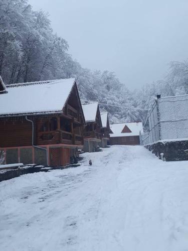 Posada Toursit Complex Polyana Kvasova