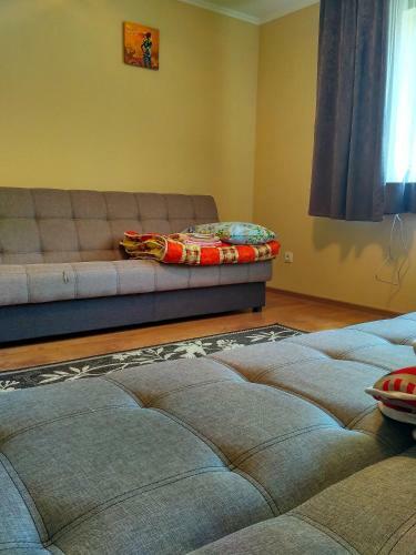 Apartments "domovik" Pidoprugoru