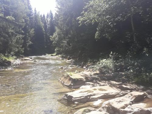 Agroturismo U Anastasii I Sofii Bilya Richki