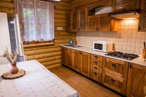 Hotel Karpaty Migovo