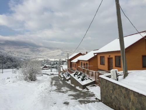 Solnce Karpat