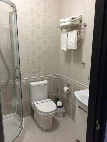 Hotel Dvir Litynskyi