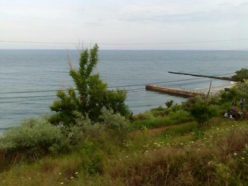 Hostal Guest House Violetta
