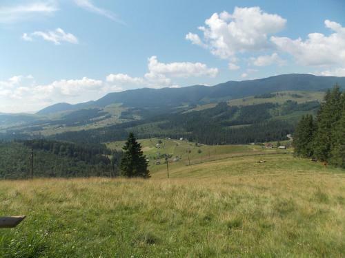 Lodge U Vasiliny