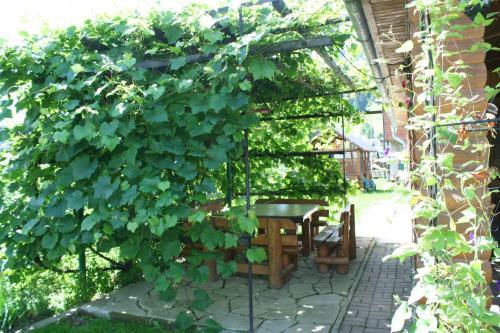 Hostal Krokus House