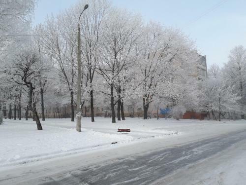 Apartment On Gagarina 67