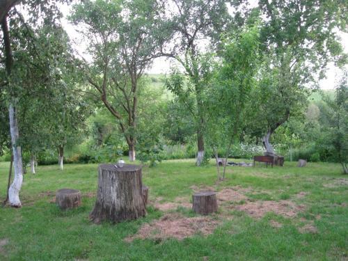 Agroturismo Kalynoviy Kucsh