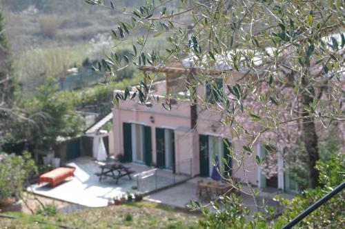 Apartamento Ulivi E Corbezzoli