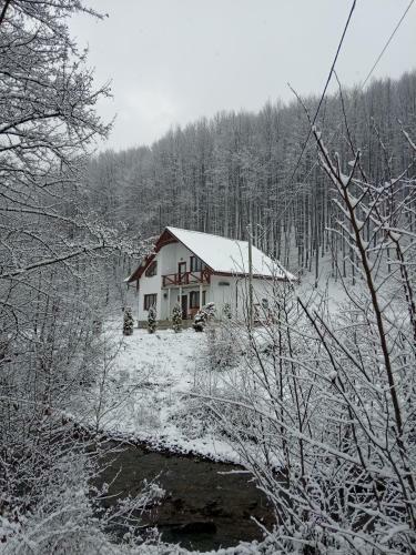Lodge Bilya Lisu