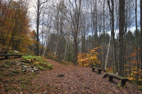 The Woods Lodge