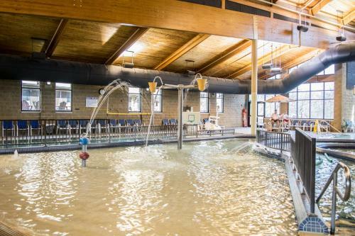 Hotel Abe Martin Lodge & Cabins
