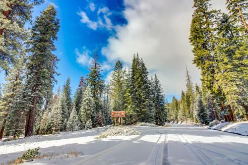 Kokanee Cove