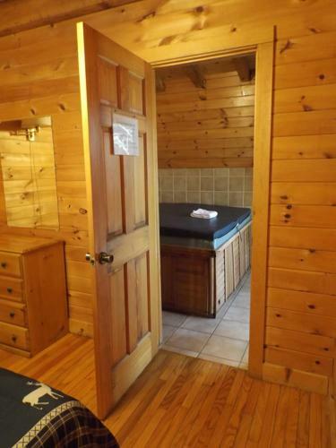 Hotel Bear Den Mountain Resort