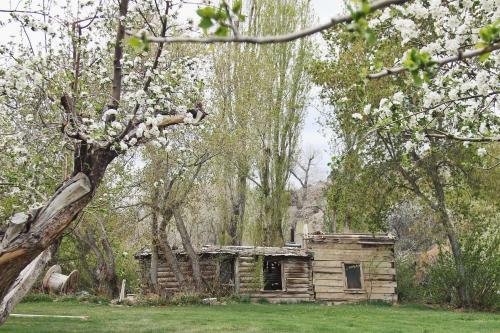 Hotel Hidden Canyon Retreat