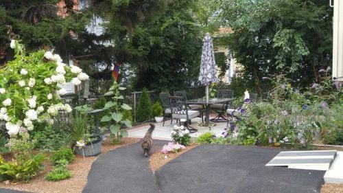 Bed & Breakfast Davis Square Inn
