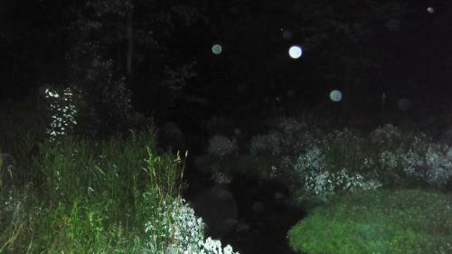 Posada Up A Creek Inn
