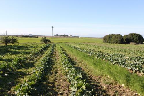 Agroturismo Tenuta Leone