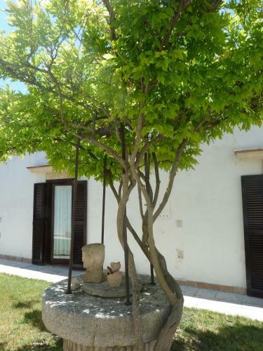 Agroturismo Tenuta Leone