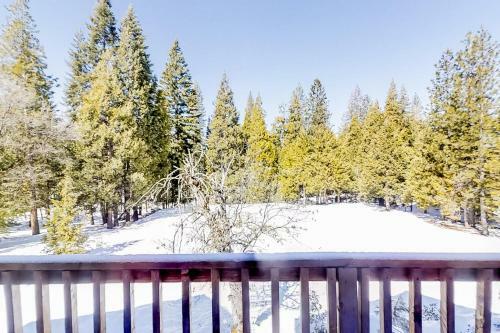 The Pines