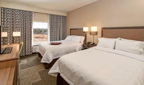 Hotel Hampton Inn Hibbing