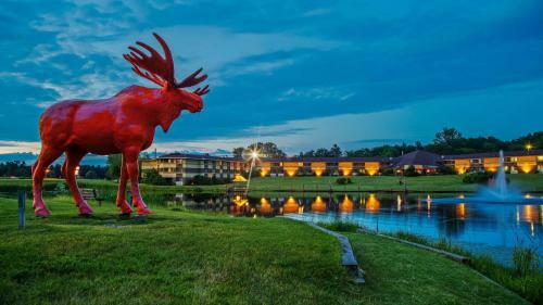 Surestay Plus Hotel By Best Western Black River Falls