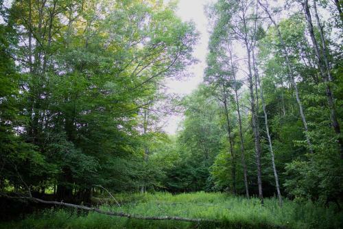 Tentrr - R Shady Creek Camp
