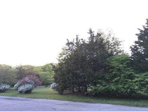 Westhampton Seabreeze Motel