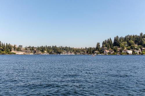 Little Log Cabin On Lake Washington