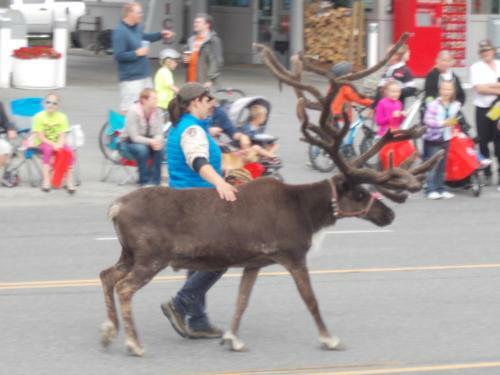 Alaska Chalet Bed & Breakfast