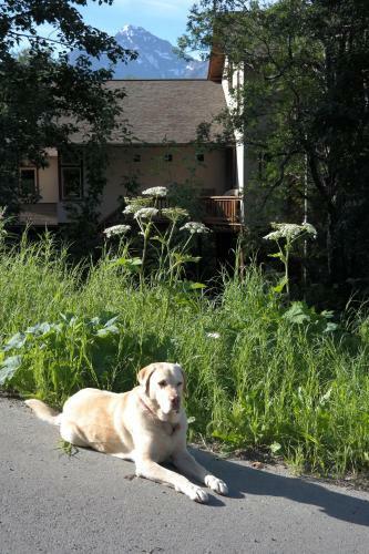 Hostal Eagle Peak Guesthouse
