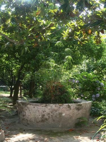 Il Giardino Di Tonia B&B