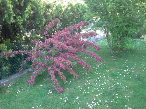 Ciccilia B&B
