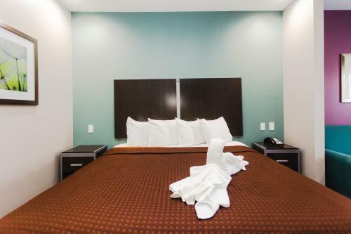 Motel Express Inn - Spring