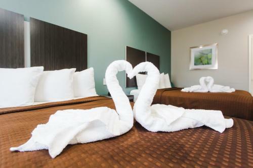 Motel Express Inn - Spring