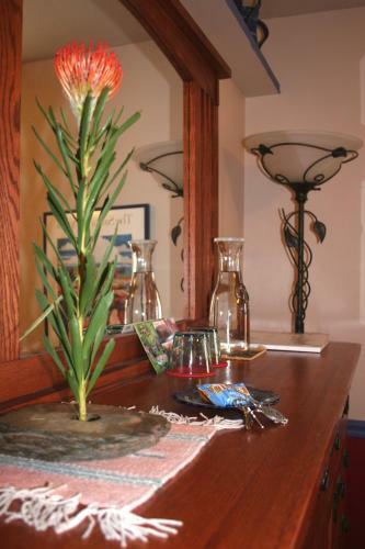 Chocolate Turtle B&B