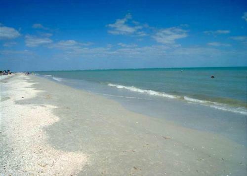 Apartamento Loggerhead Cay #323