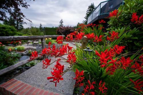 Olympic View Cottage