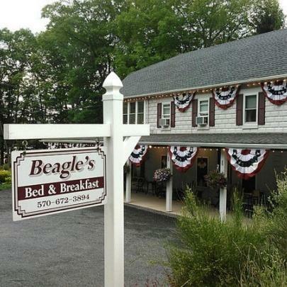 Beagle's Bed & Breakfast
